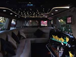 14 Passenger Excursion SUV Inner 